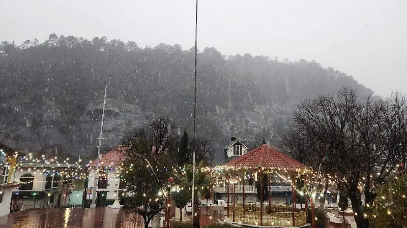 Nevada Guadalupe y Calvo